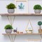 3pcs Mini Artificial Potted Plants – Realistic Fake Greenery Set in Decorative Pots, Small Faux Plants for Indoor Home & Desk Decor, No Maintenance